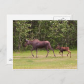 Volgend in Moms Footprint Briefkaart (Voorkant / Achterkant)