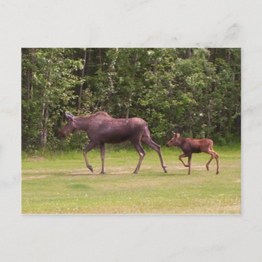 Volgend in Moms Footprint Briefkaart (Voorkant)