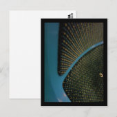 volgende halte briefkaart (Voorkant / Achterkant)