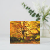 Volgende herfst tekenen van structuur briefkaart (Staand voorkant)