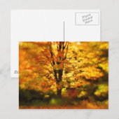 Volgende herfst tekenen van structuur briefkaart (Voorkant / Achterkant)