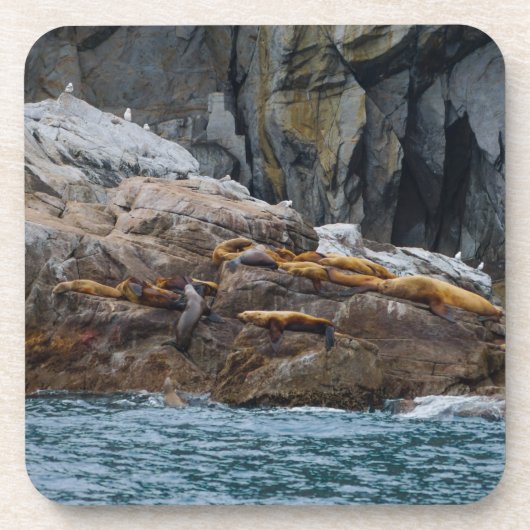 Volgende in lijn drankjes onderzetter (Voorkant)