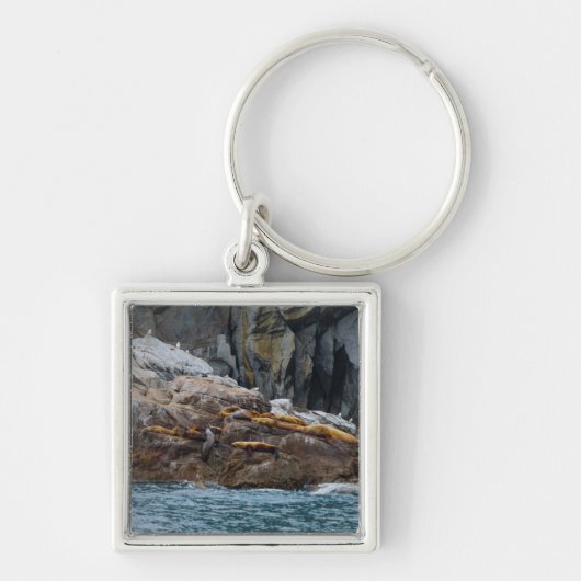 Volgende in lijn sleutelhanger (Voorkant)