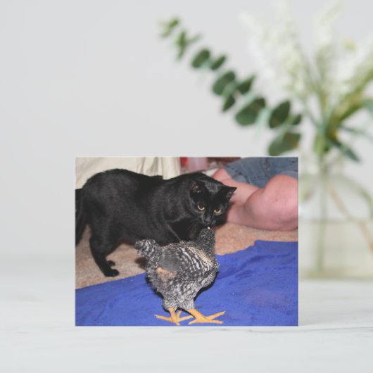 Volgers Briefkaart (Staand voorkant)