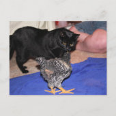 Volgers Briefkaart (Voorkant)