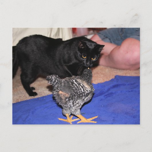 Volgers Briefkaart (Voorkant)