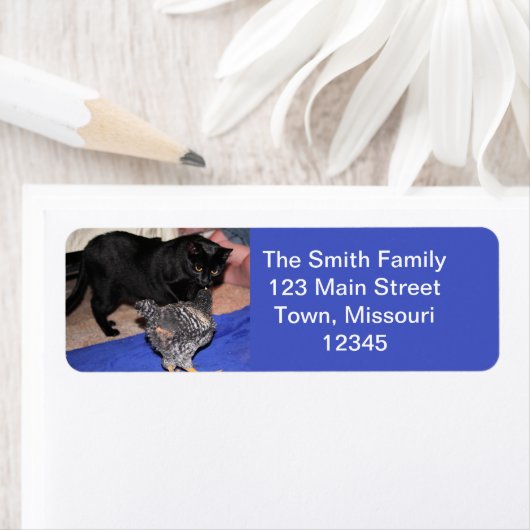 Volgers Etiket (Insitu)