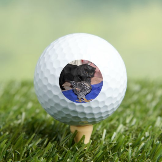 Volgers Golfballen (Insitu Shirt)