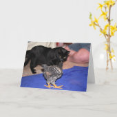 Volgers Kaart (Gele Bloem)