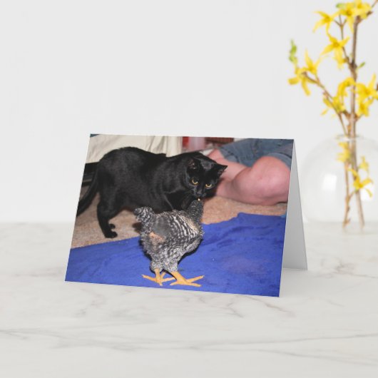 Volgers Kaart (Gele Bloem)