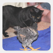 Volgers Vierkante Sticker (Voorkant)