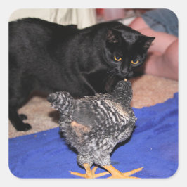 Volgers Vierkante Sticker