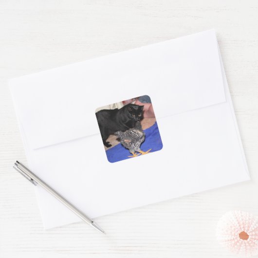 Volgers Vierkante Sticker (Envelop)