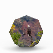 Volgherfst Fotoblokken (Voorkant)