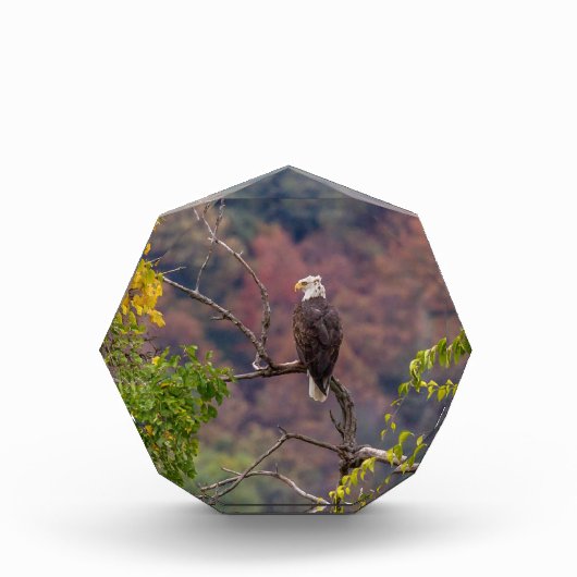 Volgherfst Fotoblokken (Voorkant)