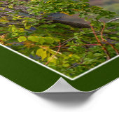 Volgherfst Poster (Hoek)