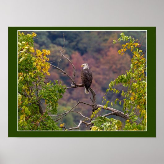 Volgherfst Poster (Voorkant)