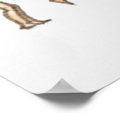 Volgorde van illustraties met vrouw gymnast poster (Hoek)