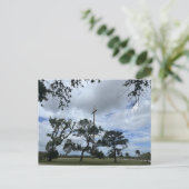 Volgroeide Live Oaks Briefkaart (Staand voorkant)