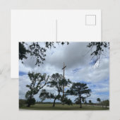 Volgroeide Live Oaks Briefkaart (Voorkant / Achterkant)