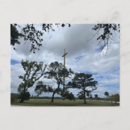 Volgroeide Live Oaks Briefkaart