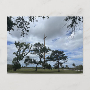 Volgroeide Live Oaks Briefkaart