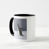 Volgvogel (Pygoscelis papua) Mok (Voorkant links)