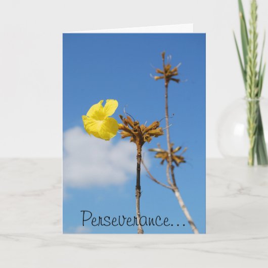 Volharding Kaart (Voorkant)