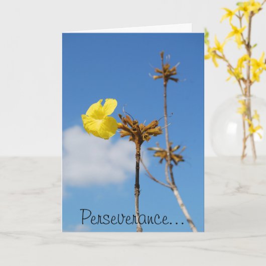 Volharding Kaart (Gele Bloem)