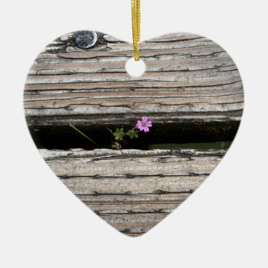 volharding keramisch ornament (Voorkant)