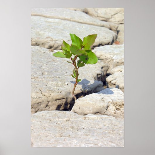 volharding poster (Voorkant)