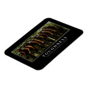 Volheid: Inspirerend prijsopgave 2 Magneet (Linkerzijde)