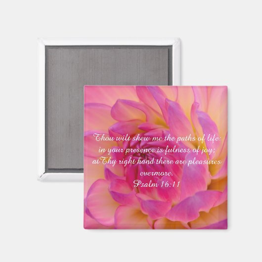 Volheid van Joy Magnet (Voorkant / Achterkant)