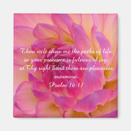 Volheid van Joy Magnet