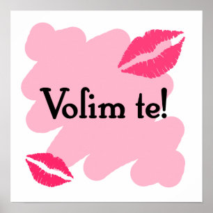 Volim-te - Kroatisch hou ik van je Poster