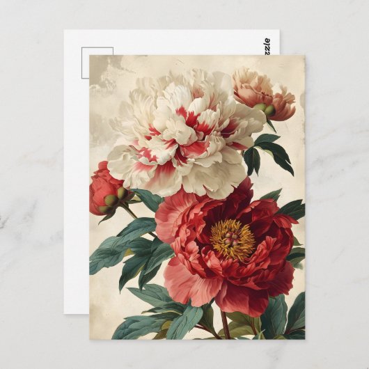  volken briefkaart (Voorkant / Achterkant)