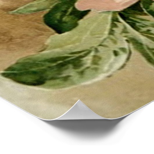  volken poster (Hoek)