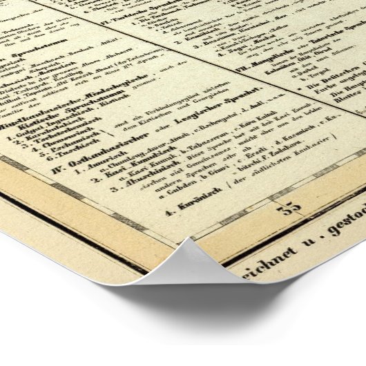 volken van de Kaukasus Poster (Hoek)