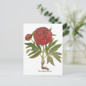  volken, volkbloemen van Basilius Besler Briefkaart (Staand voorkant)