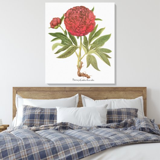 volken, volkbloemen van Basilius Besler Canvas Afdruk (Insitu (Slaapkamer))