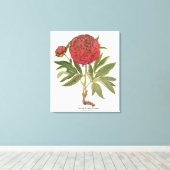 volken, volkbloemen van Basilius Besler Canvas Afdruk (Insitu (Houten vloer))