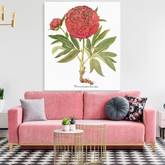 volken, volkbloemen van Basilius Besler Canvas Afdruk (Insitu (Woonkamer))