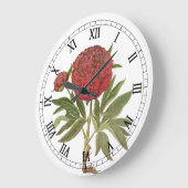  volken, volkbloemen van Basilius Besler Grote Klok (Hoek)