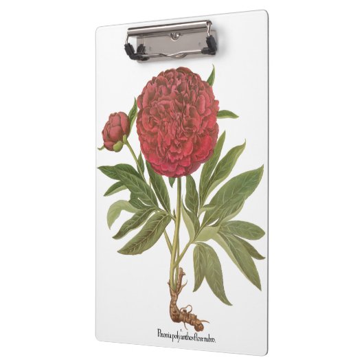  volken, volkbloemen van Basilius Besler Klembord (Links)