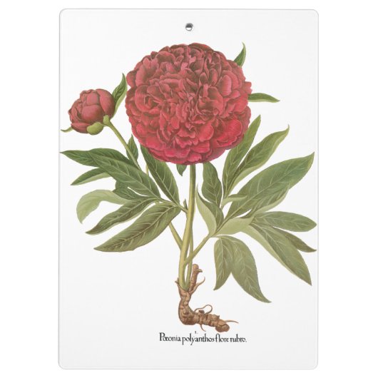  volken, volkbloemen van Basilius Besler Klembord (Achterkant)