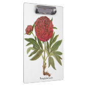  volken, volkbloemen van Basilius Besler Klembord (Rechts)