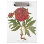  volken, volkbloemen van Basilius Besler Klembord (Voorkant)