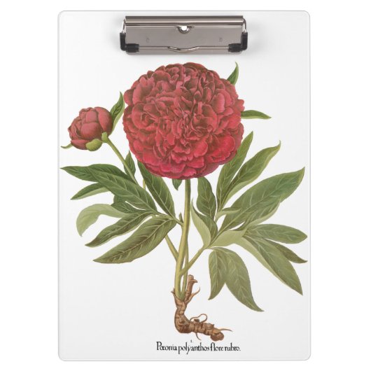  volken, volkbloemen van Basilius Besler Klembord (Voorkant)