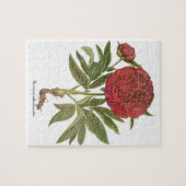  volken, volkbloemen van Basilius Besler Legpuzzel (Horizontaal)