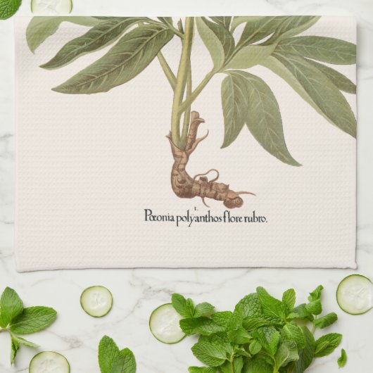  volken, volkbloemen van Basilius Besler Theedoek (Gevouwen)